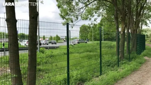 Luxus Bitch vs. LKW Fahrer | Public PISS Pause an der A 42